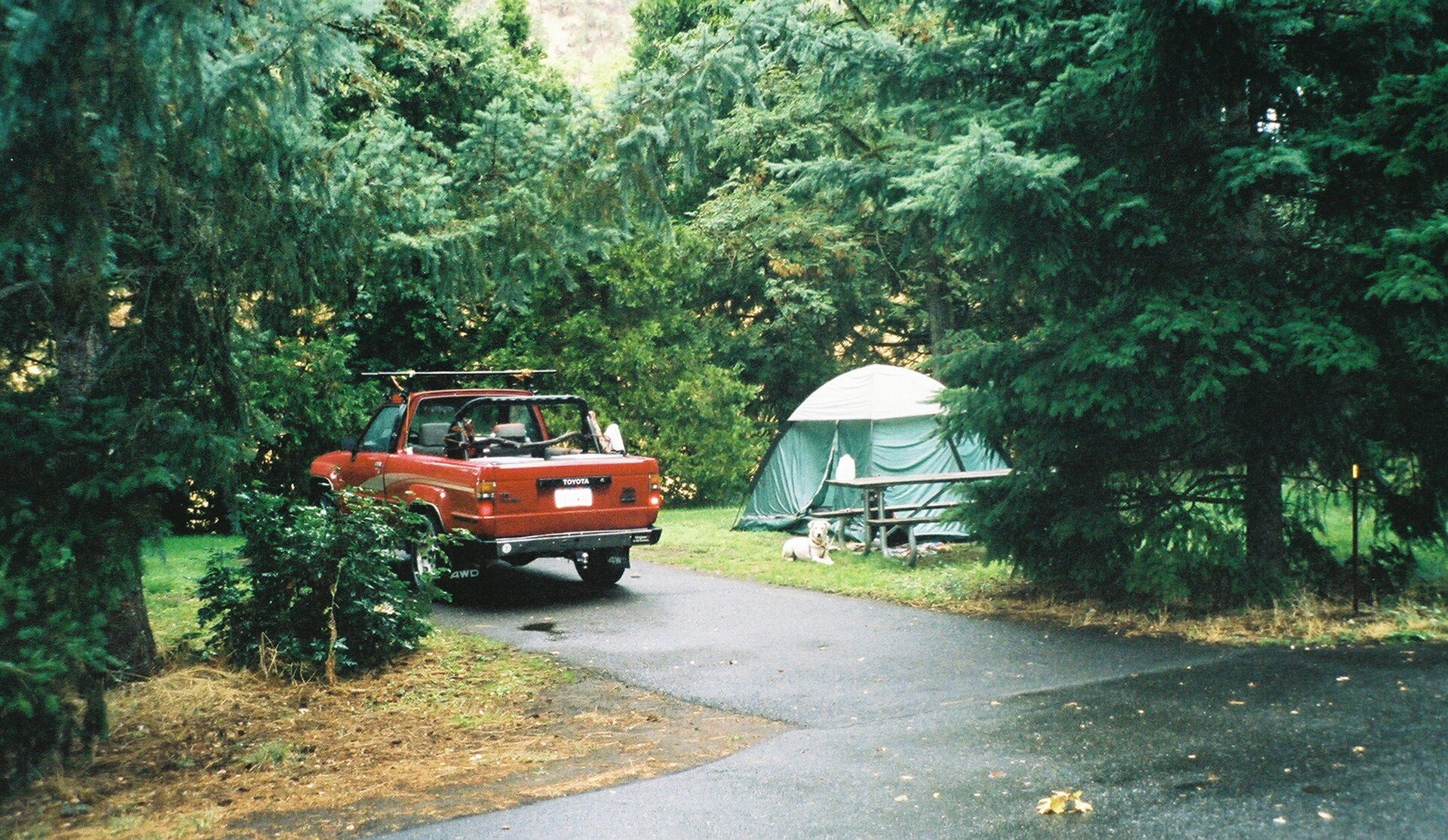 Red first-generation 4Runner with its rear top removed parked at a forest campsite beside a tent, picnic table and a resting dog