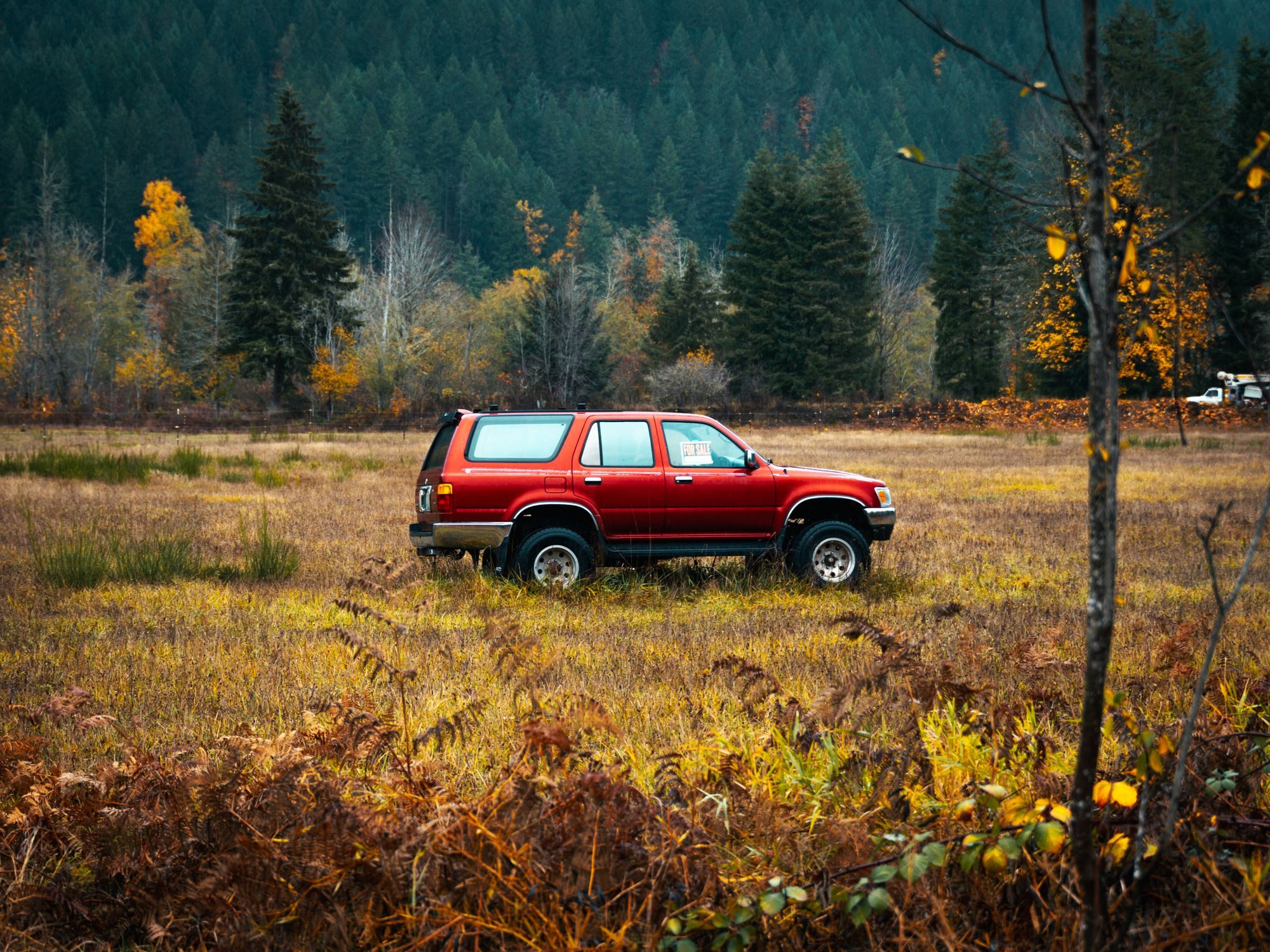 Red second-generation four-door 4Runner standing in a golden autumn meadow with ferns and evergreen forest behind