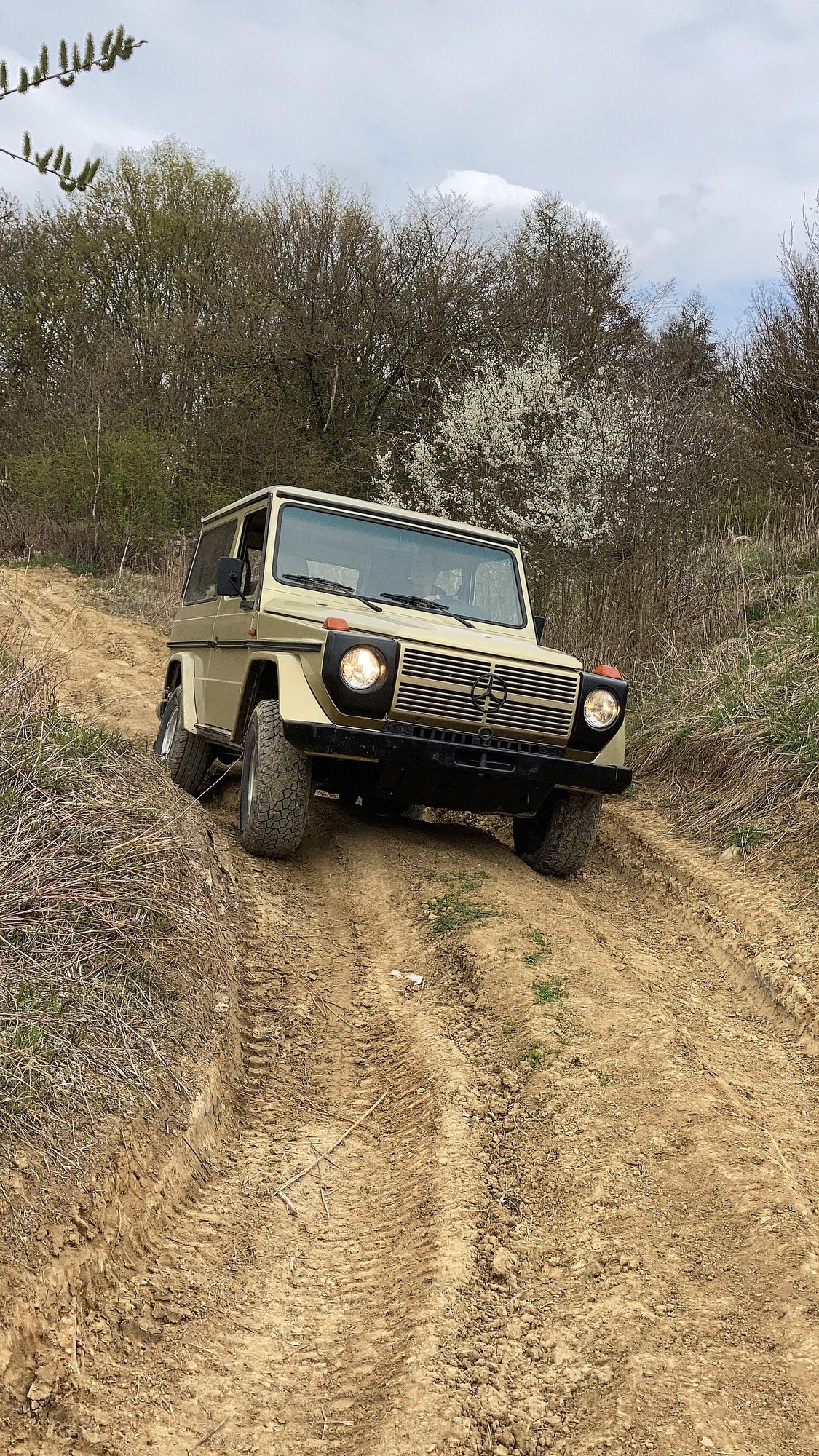 A beige 1982 W460 300 GD crawling down a rutted dirt track between scrubby banks