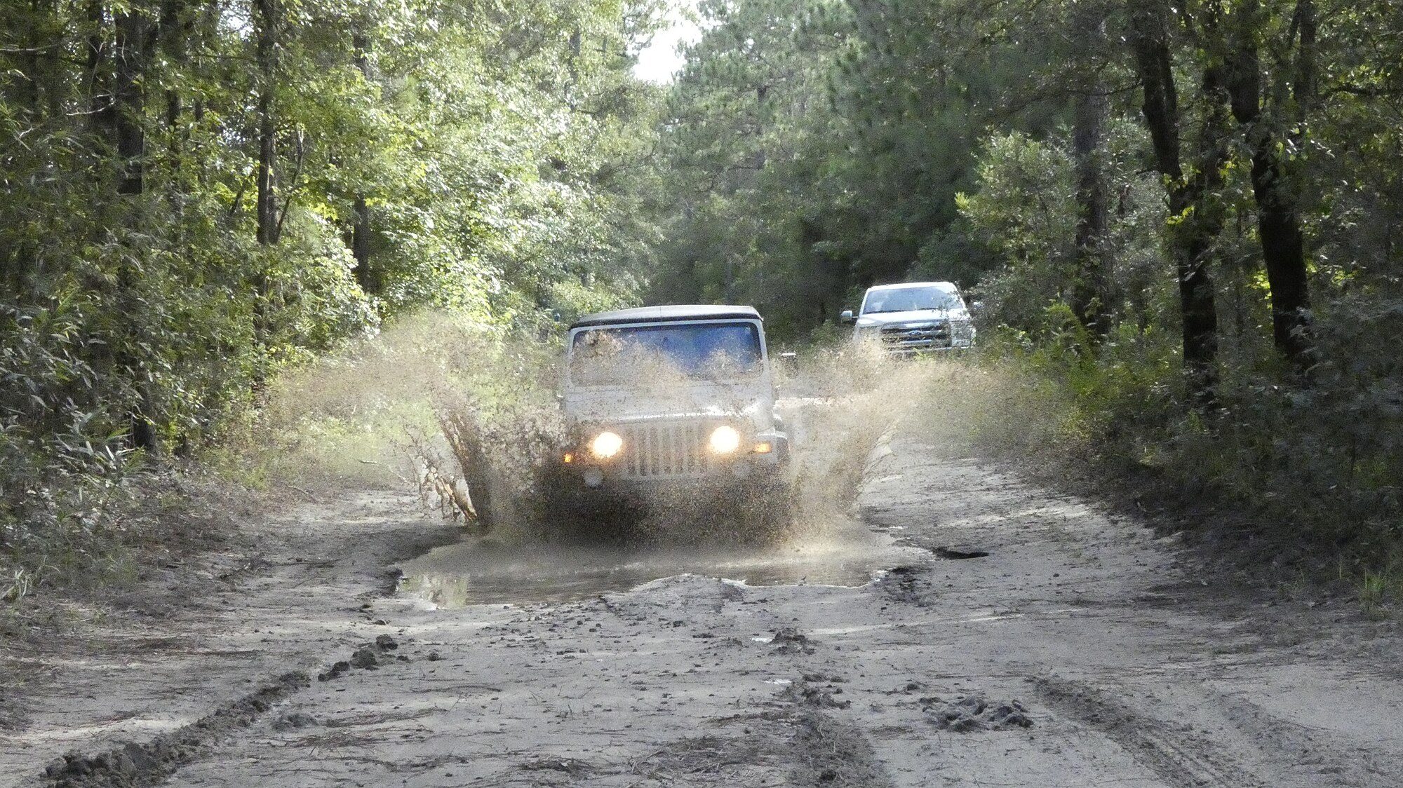 A 2001 Jeep Wrangler TJ SE splashing through a mud puddle on a forest track