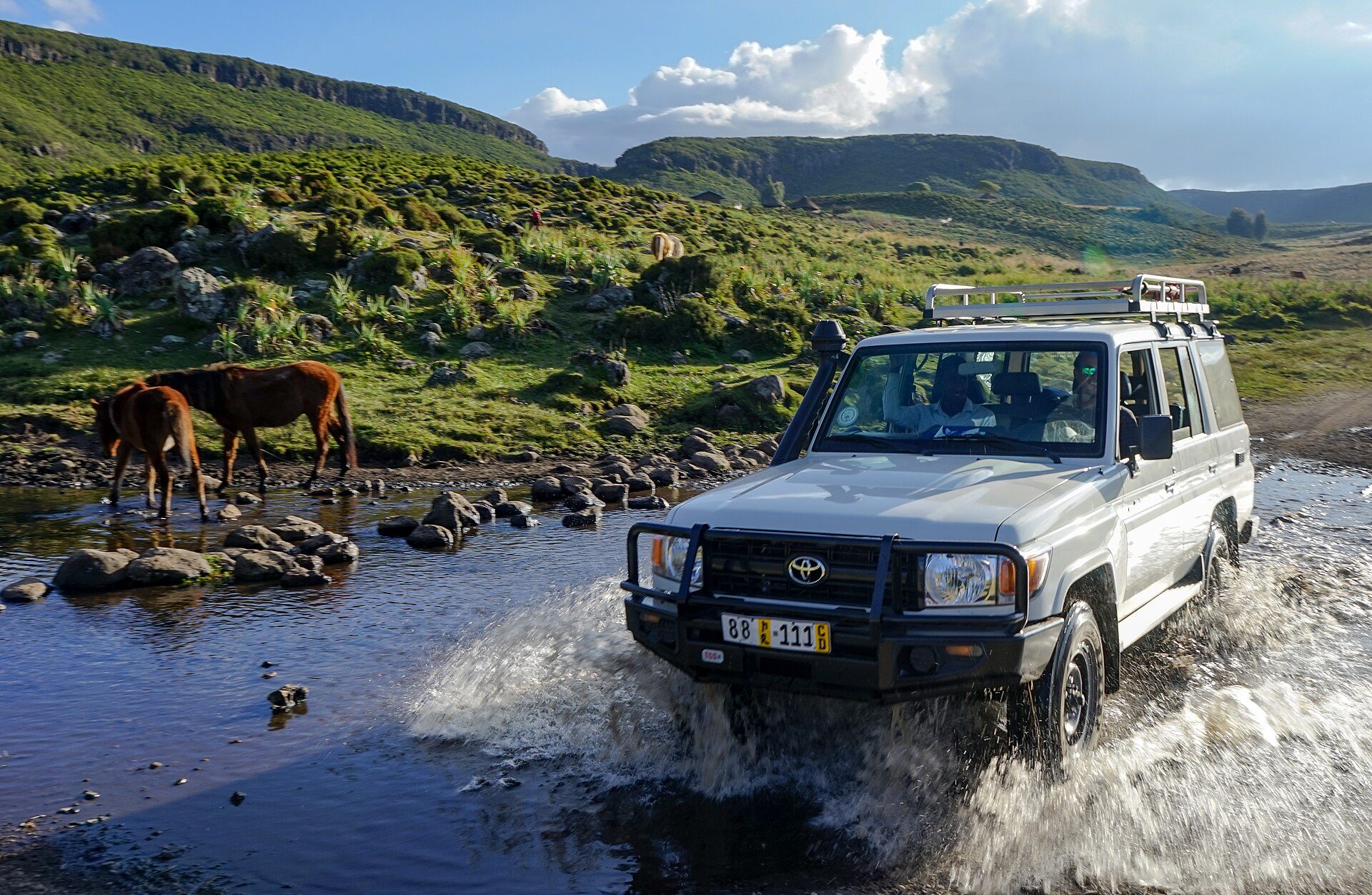 A white Land Cruiser 76 Series wagon with a bull bar and roof rack splashing through a river in Ethiopia's Bale Mountains, horses grazing on the bank