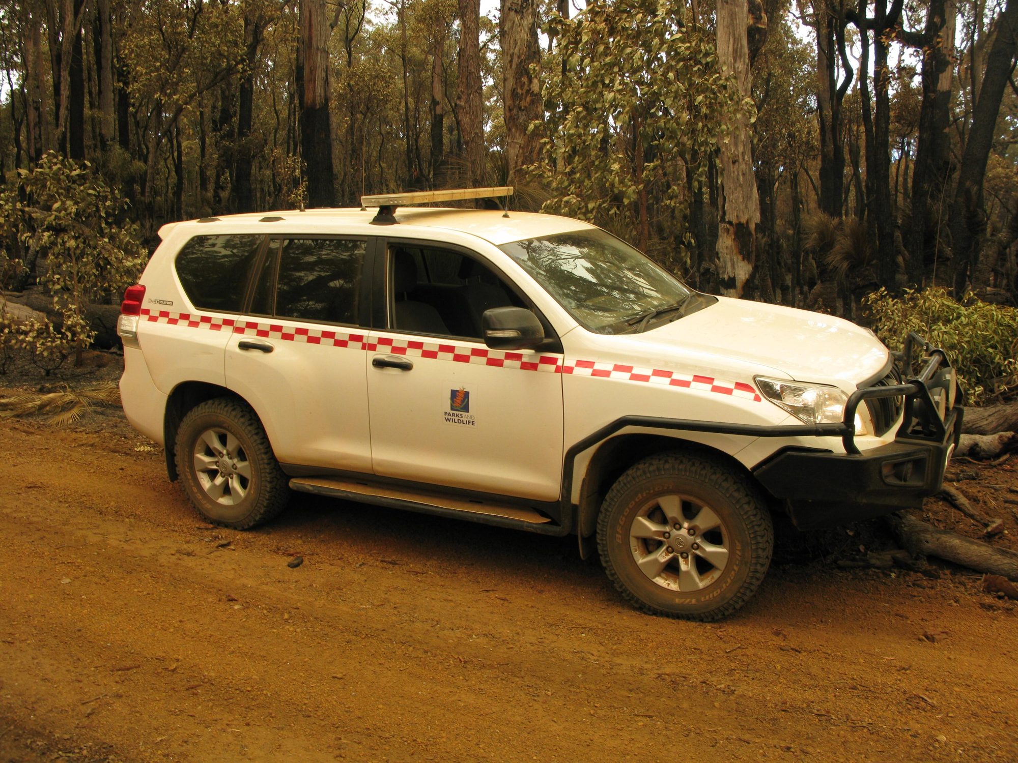 A white pre-facelift Prado 150 with a bull bar and Parks and Wildlife livery parked on a red dirt fire trail in the Perth Hills