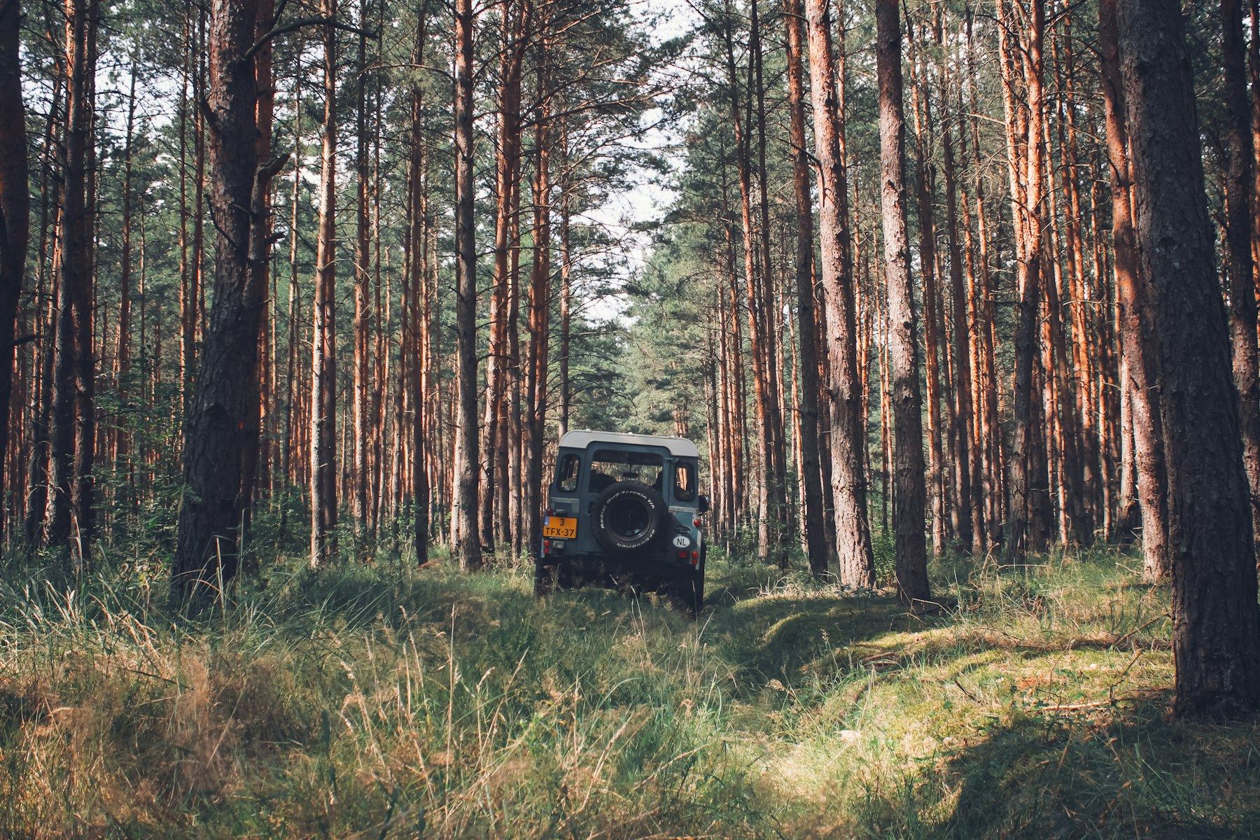 Land Rover Series & Defender