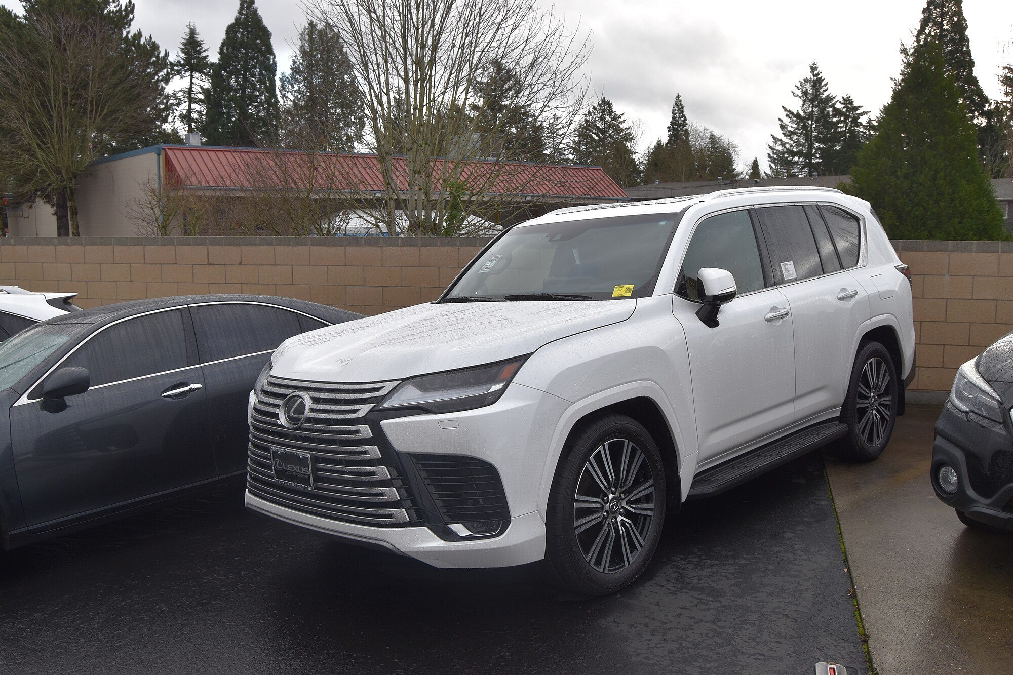 A white 2024 Lexus LX 600 parked with evergreen trees behind