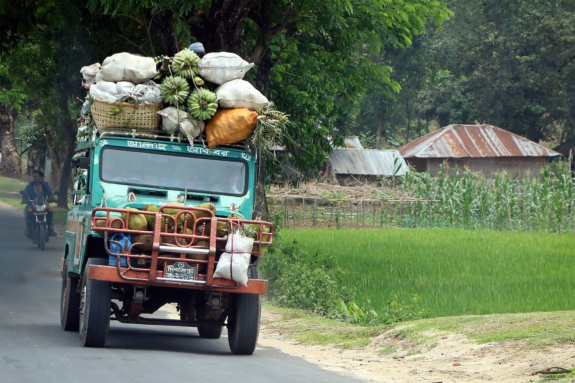 A Nissan Patrol 60 loaded high with bananas and sacks of produce on a country road past rice paddies in Khagrachari, Bangladesh