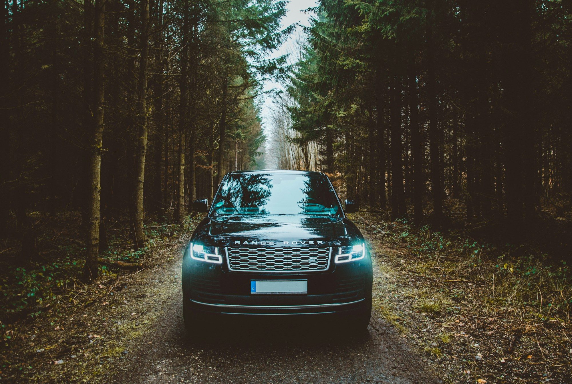 A dark facelifted fourth-generation Range Rover (L405) with lights on, heading down a dirt track through a pine forest