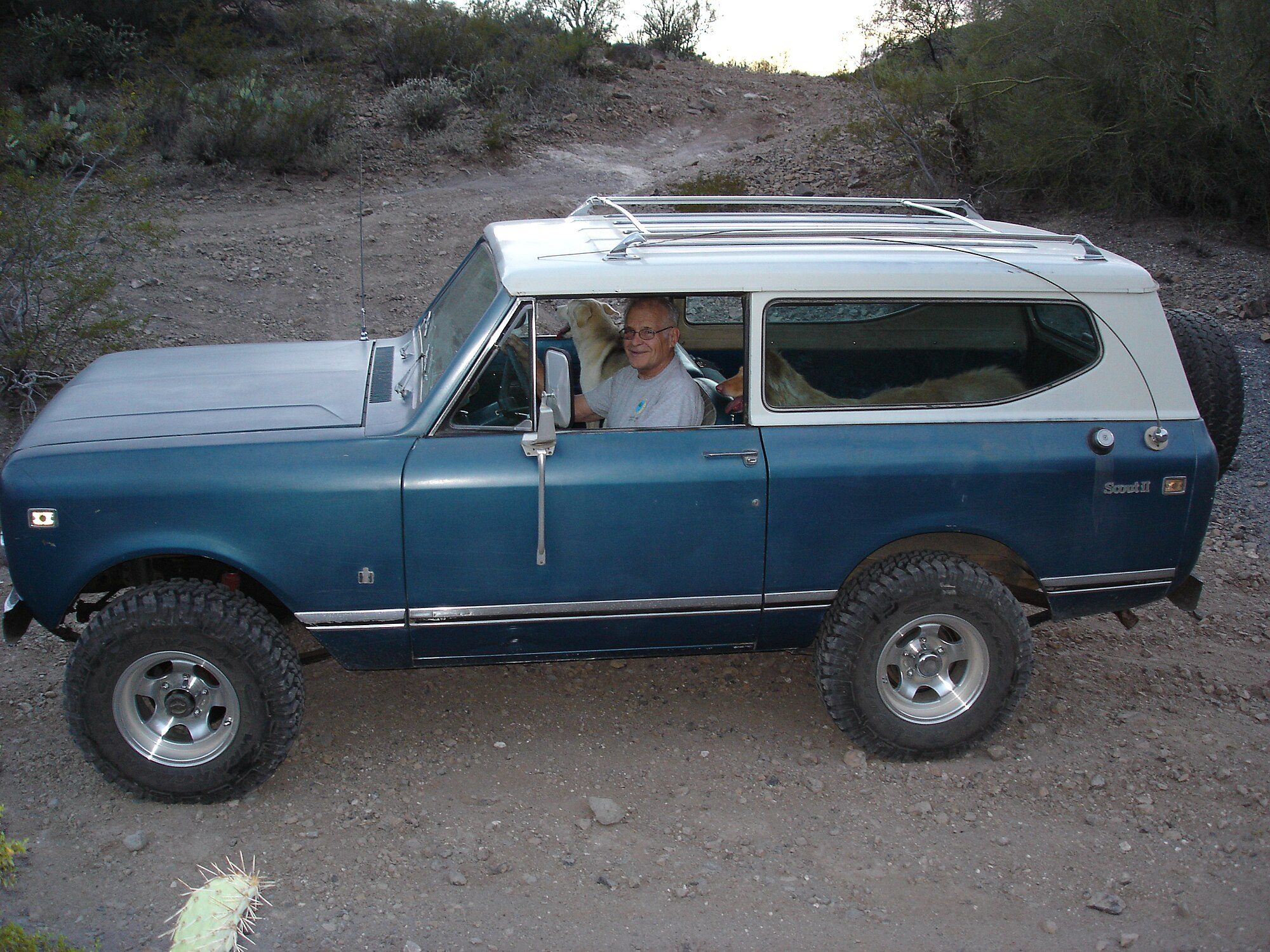 International Scout